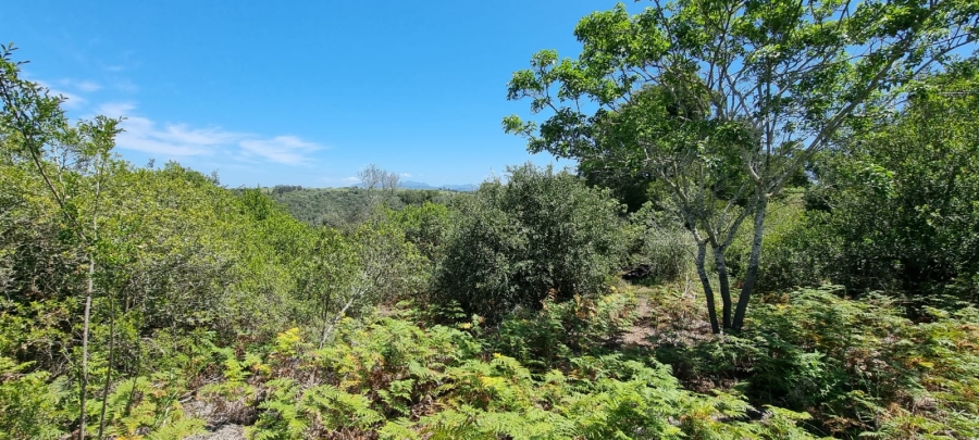  Bedroom Property for Sale in Knysna Rural Western Cape